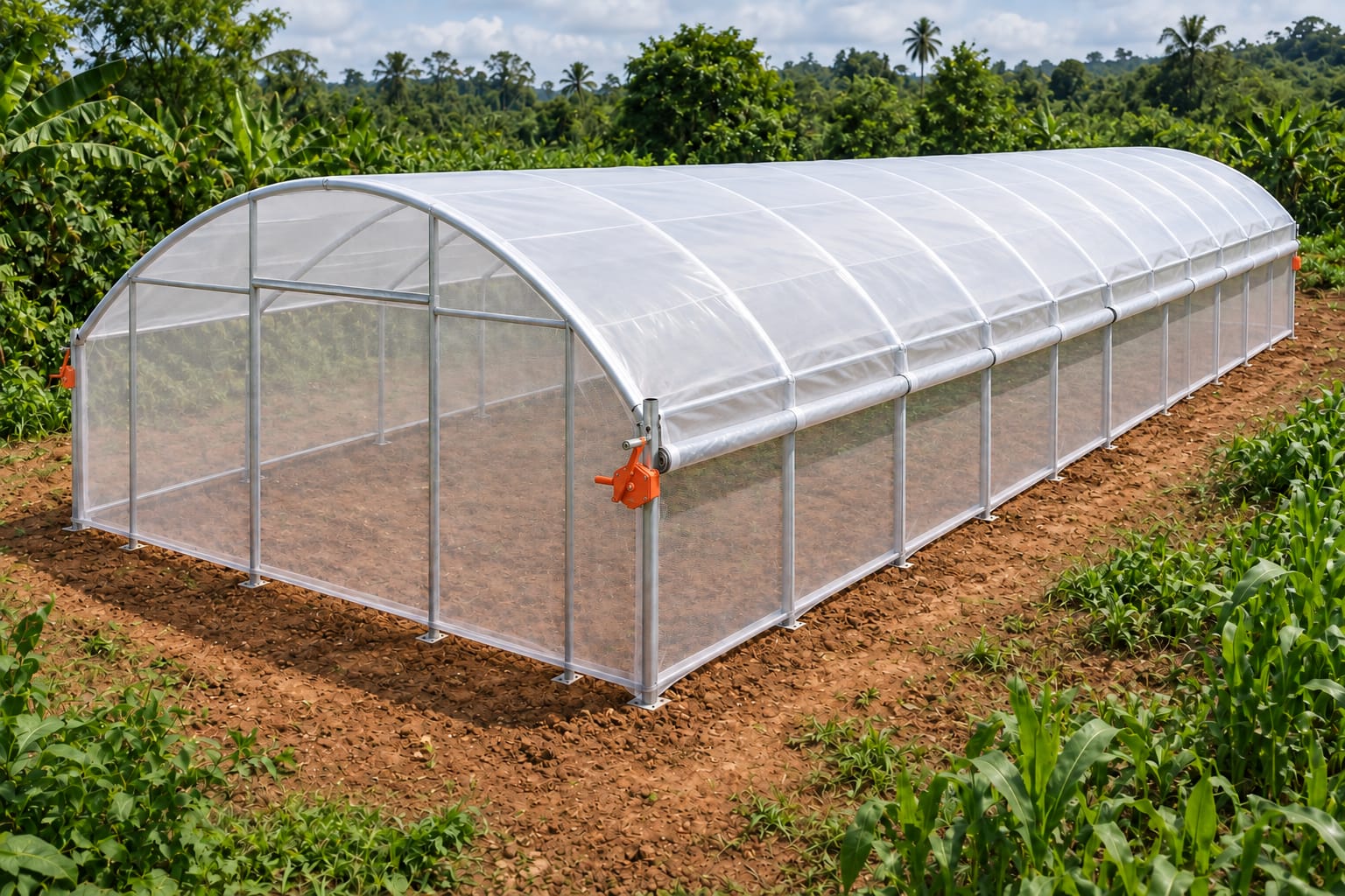 Serre tunnel 250 m² — vue 1