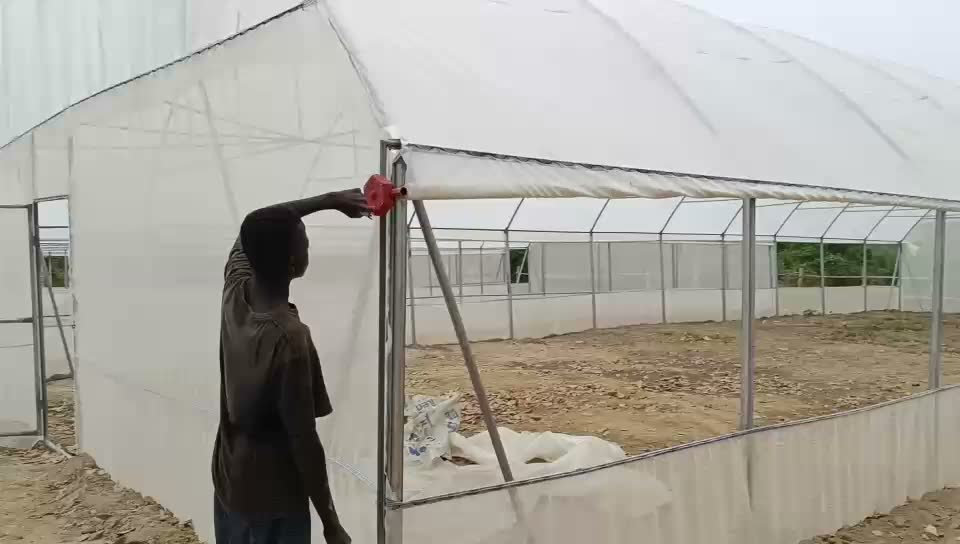 Serre agricole à Akoupé