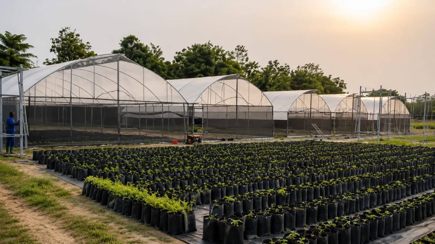 Greenhouses in Nigeria