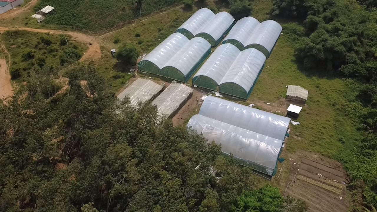 Songon — 5 serres tunnel, 500 m² ×5